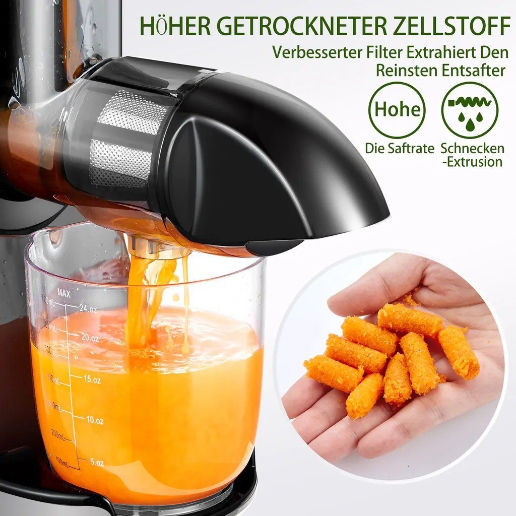 Slow Juicer ZM1501