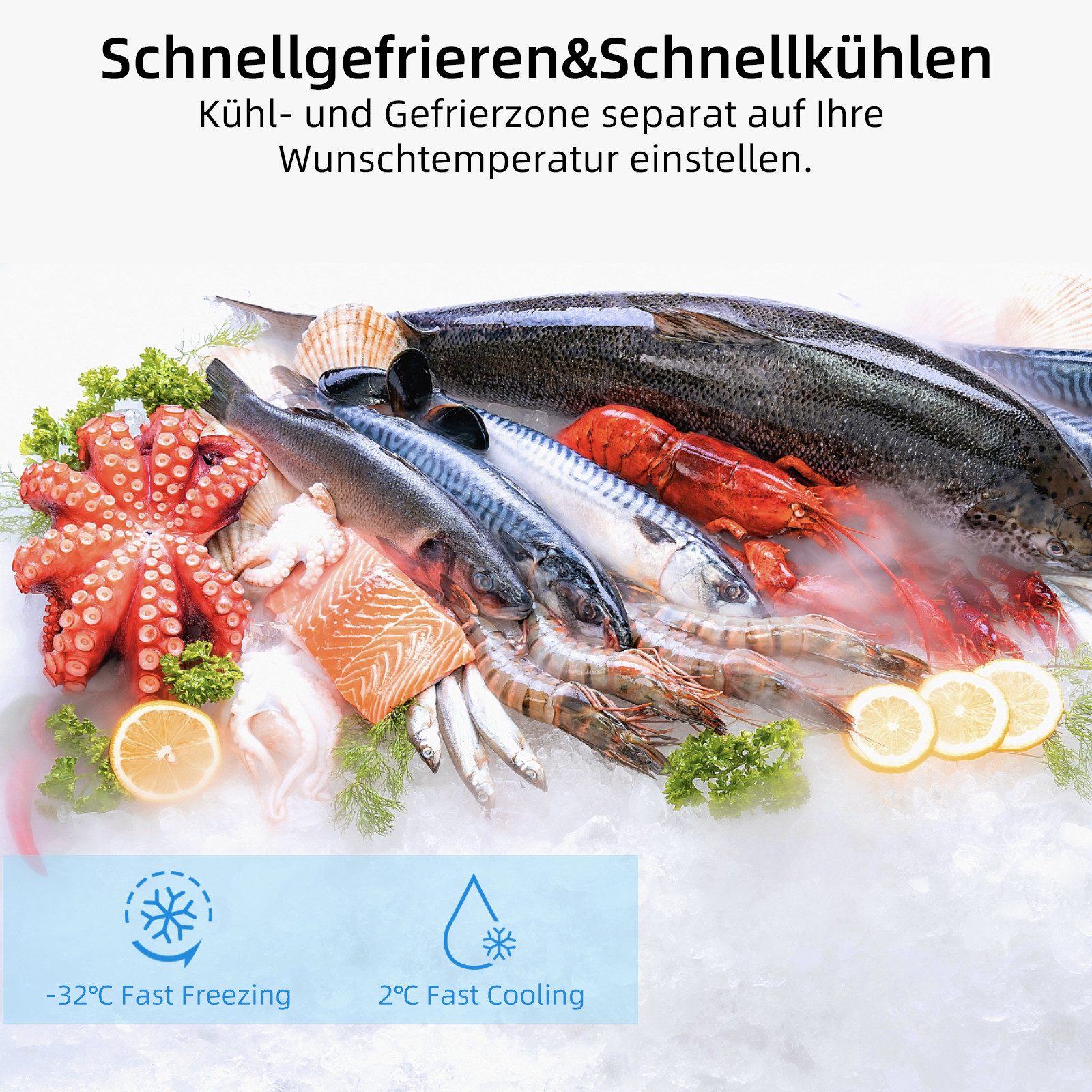 Kühl-/Gefrierkombination FBM351NEI42