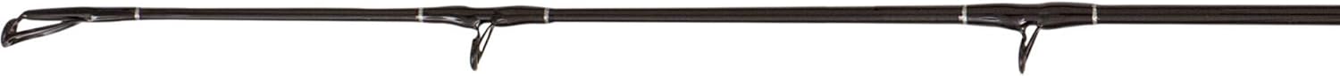 Black Cat Buster 3m 300-500g Wallerrute, Angelrute zum Wallerangeln, Welsrute zum Angeln auf Waller, Wallerangel zum Welsangeln