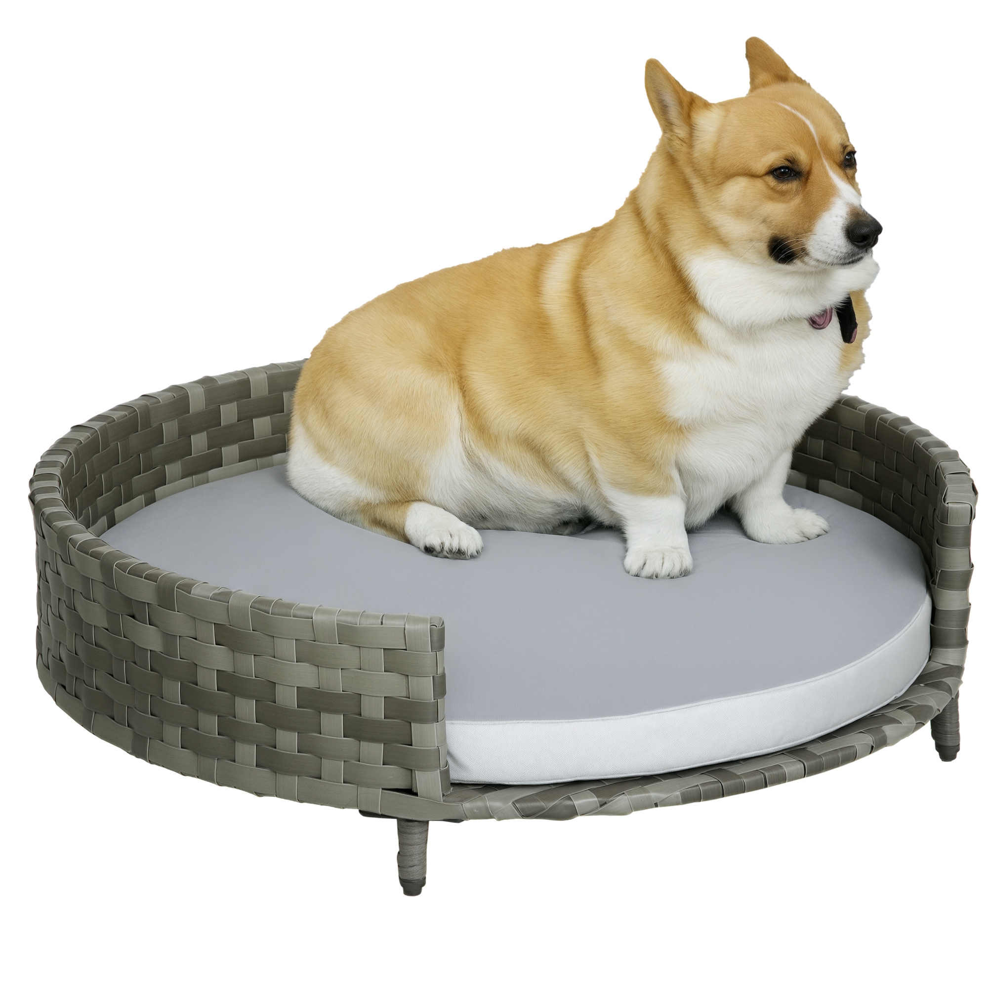 PawHut Hundebett Hundekorb Hundesofa Katzenbett mit Kissen Katzensofa Hundekörbchen für kleine Hunde Rattan Grau 75 x 75 x 20 cm