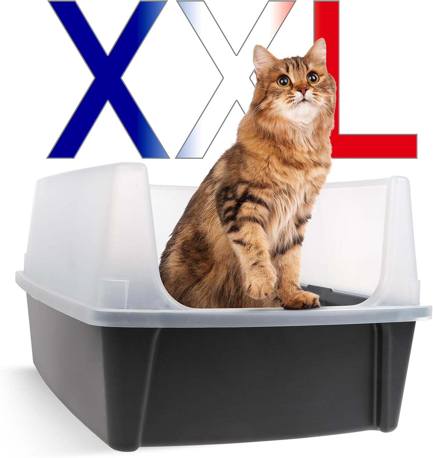 Iris Ohyama, Lettiera per gatti XL extra large, grigia, con lati alti, rimovibile, a prova di perdite, facile da pulire, per gatti adulti di grandi dimensioni, due animali, Maine Coon, senza BPA