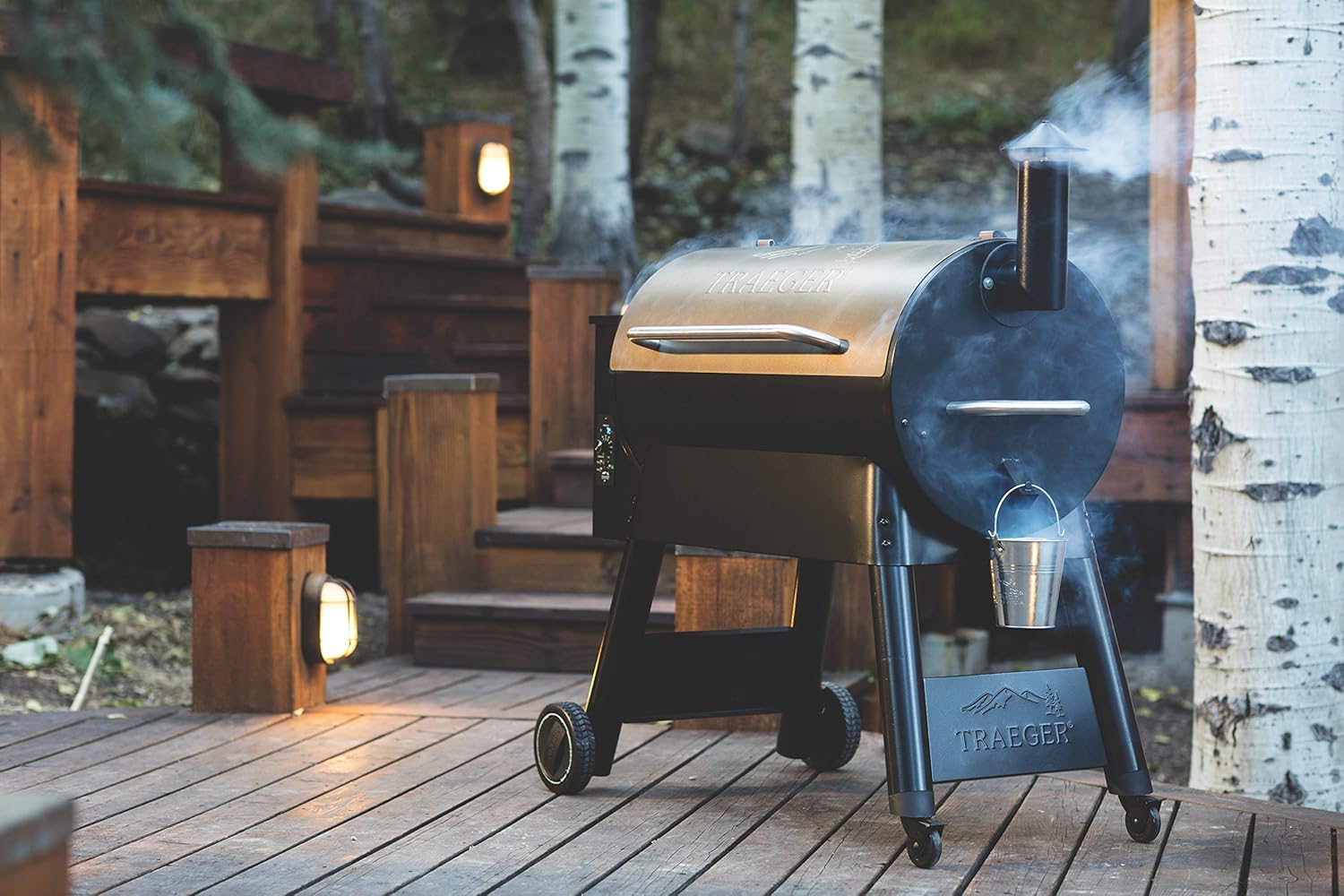 Traeger Grills Pro 34 Electric Wood Pellet Grill and Smoker  Bronze  884 Square Inches Cook Area  450 Degree Max Temperature  Meat Probe  6 in 1 BBQ Grill