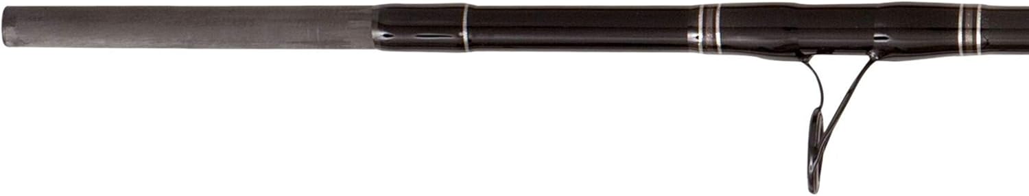 Black Cat Buster 3m 300-500g Wallerrute, Angelrute zum Wallerangeln, Welsrute zum Angeln auf Waller, Wallerangel zum Welsangeln