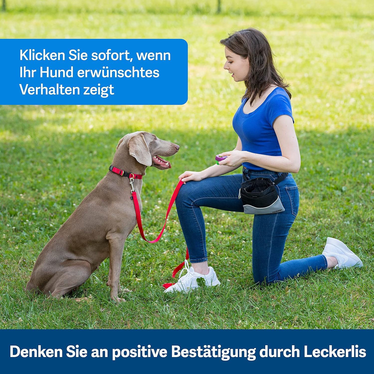 PetSafe Teach und Treat Ferngesteuerter Belohnungstrainer für Hunde, Training und Positive Verstrkung, 4 D Batterien ntig, Grau