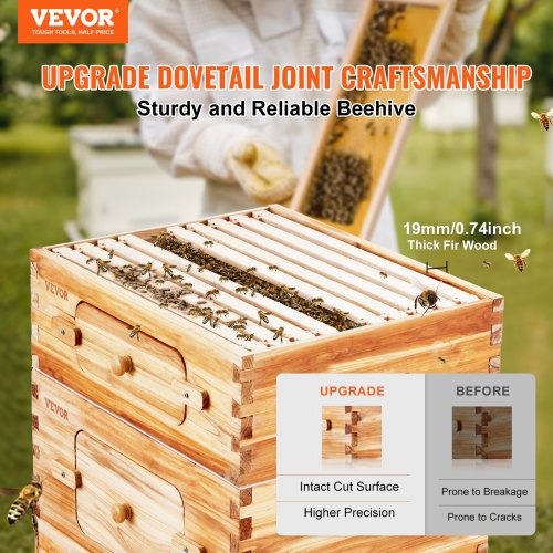 VEVOR Bienenstock, 20 Rahmen, Bienenbeute Zander, mit Bienenwachs beschichtetes Zedernholz, 1 tiefer + 1 mittlerer Bienenkasten, Langstroth-Bienenstock-Set, transparente Acrylfenster mit Fundamenten