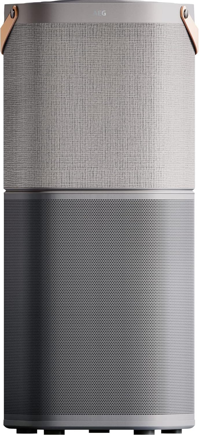 Luftreiniger AX91-604GY