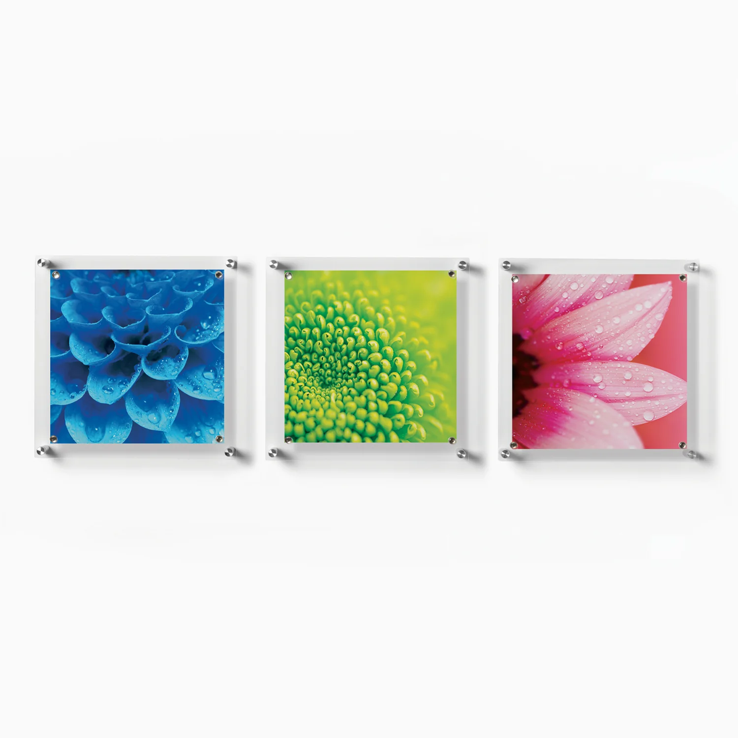 Trio: 3 Square 14