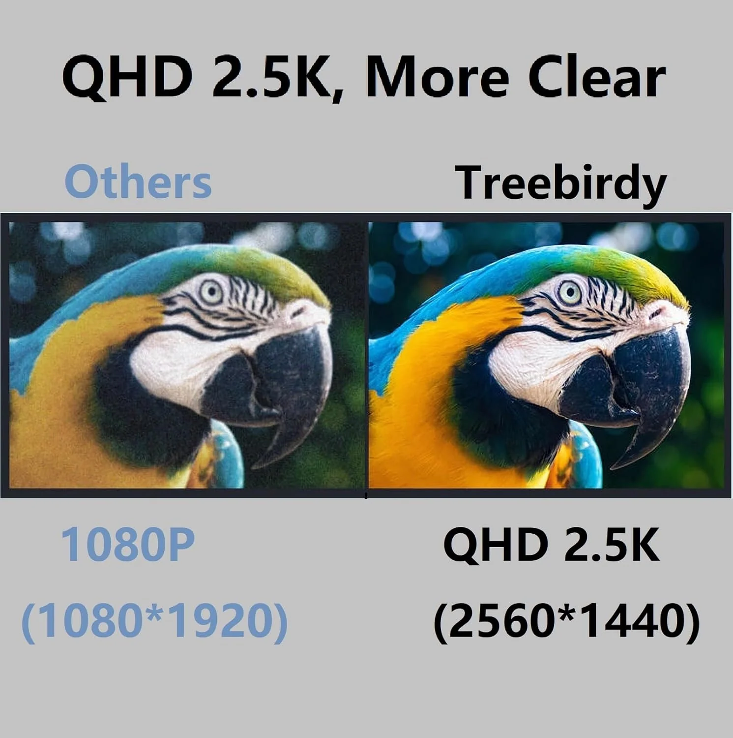 Smart Bird Feeder Camera - 4MP 2.5K Full HD, 64G TF Card Included, Solar Powered Wireless, Auto Capture Bird Video & Notify Detected Birds, AI Identify 11000+ Birds Feed Watching Camera