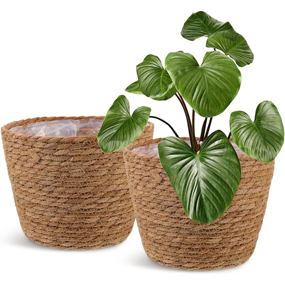 Seagrass Woven Plant Basket Set of 2 with Plastic Liner Fits 7 to 8 Inch Nursery Pots Indoor