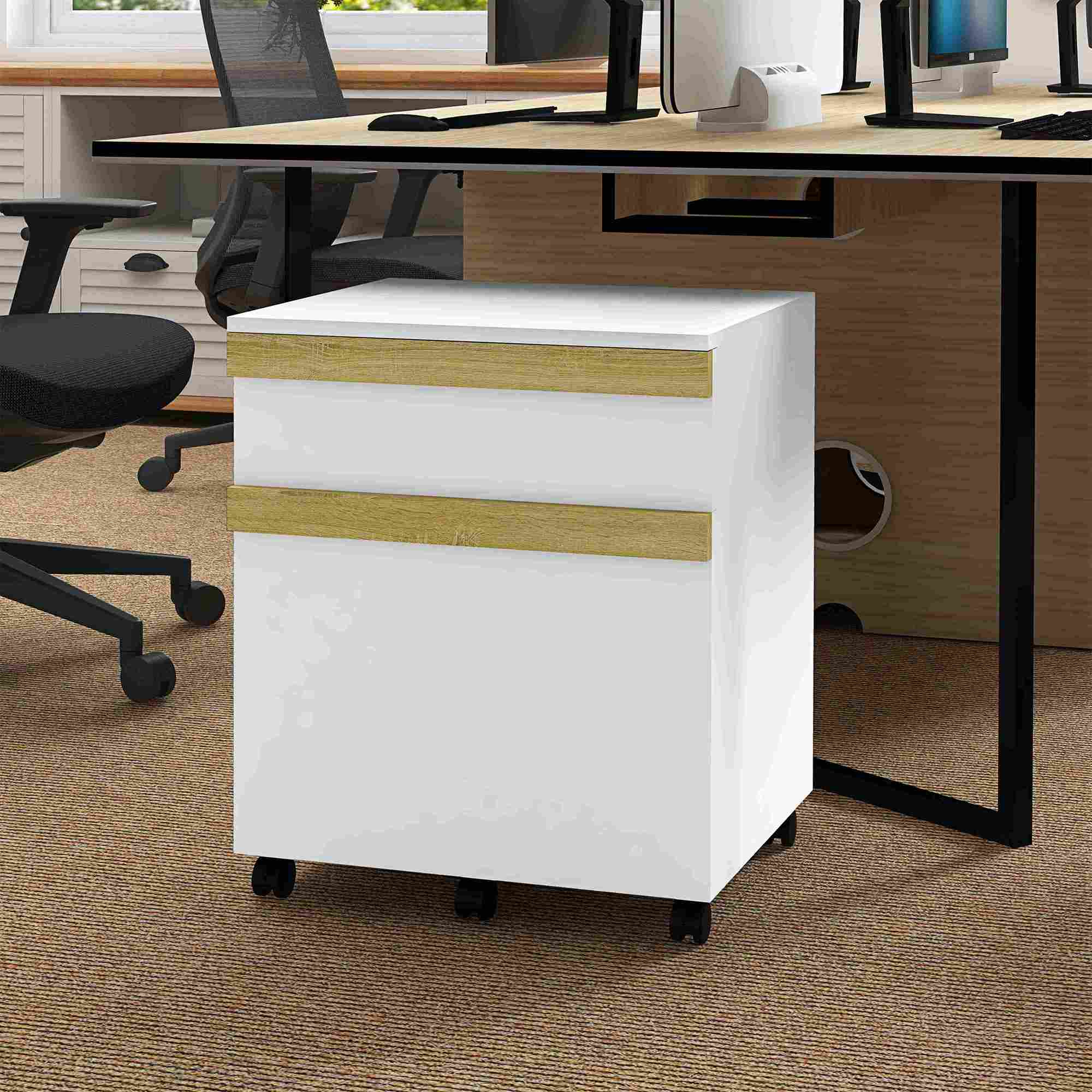 Vinsetto Büroschrank auf Rollen mit 2 ausziehbaren Schubladen, 48 x 40 x 59,5 cm, Weiß