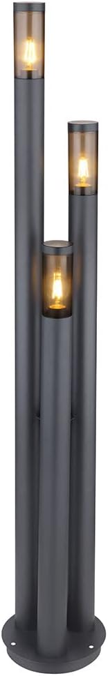 Außenleuchte Stehlampe Wegeleuchte außen Gartenlampen dunkelanthrazit IP44, Edelstahl Kunststoff modern, 1x LED warmweiß, DxH 28x170cm