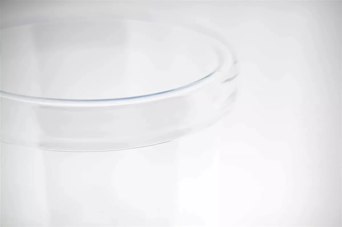 Amazon Hurricane Vases �C Clear