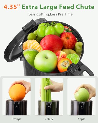 Cold Press Juicer, ECOSELF Juicer Machines with 4.35