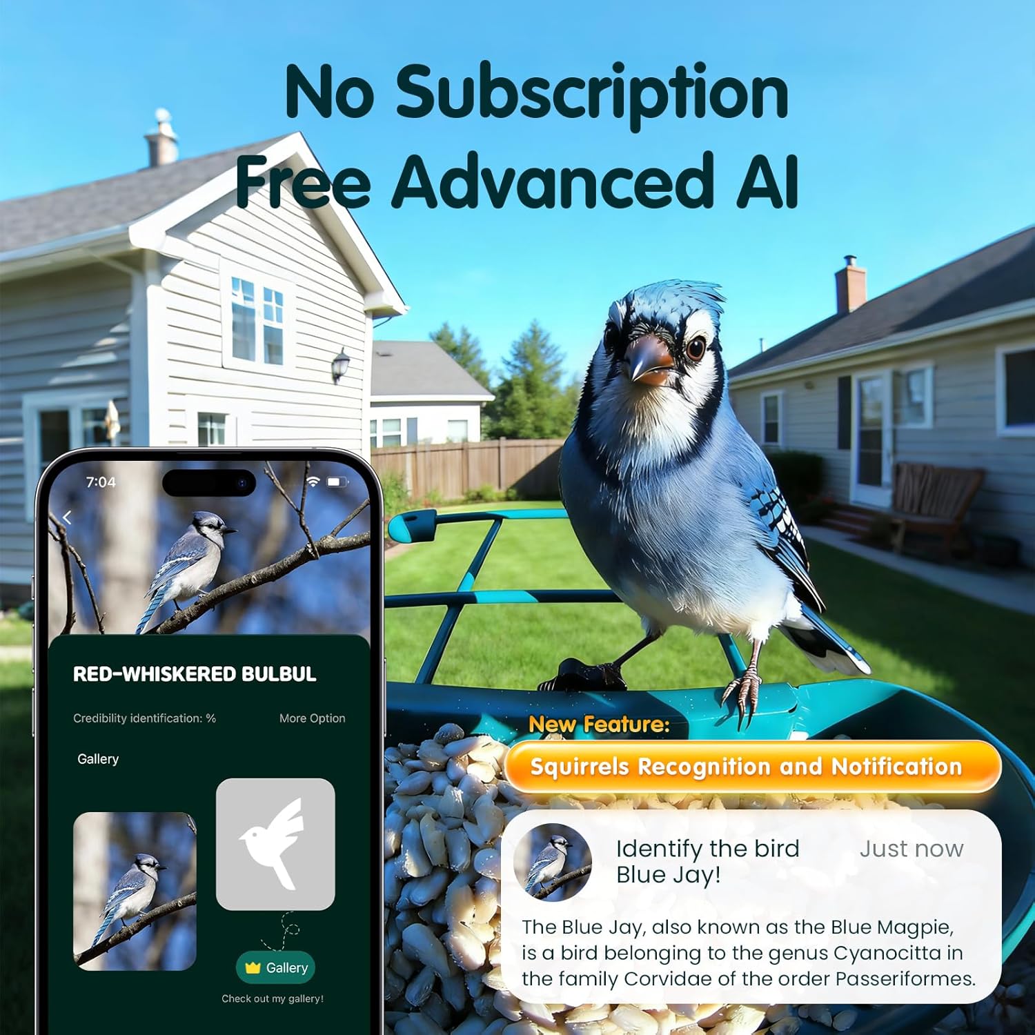 Bird Feeder with Camera  4K Ultra HD Video with 30fps Live View  10x Slow Motion  No Subscription  Solar Powered AI Smart Bird Feeder with Camera  2.4G/5G Wi-Fi  Durable Metal Bird Lover Gift