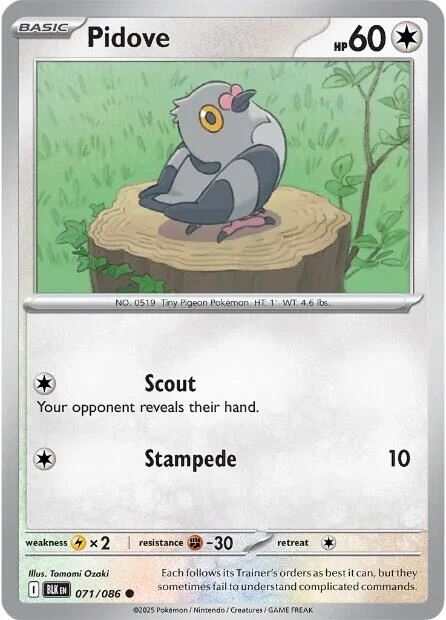 Pidove (071/086) (BLK)