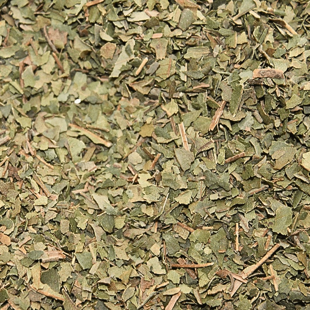 Lemon Myrtle  - Organic Herb