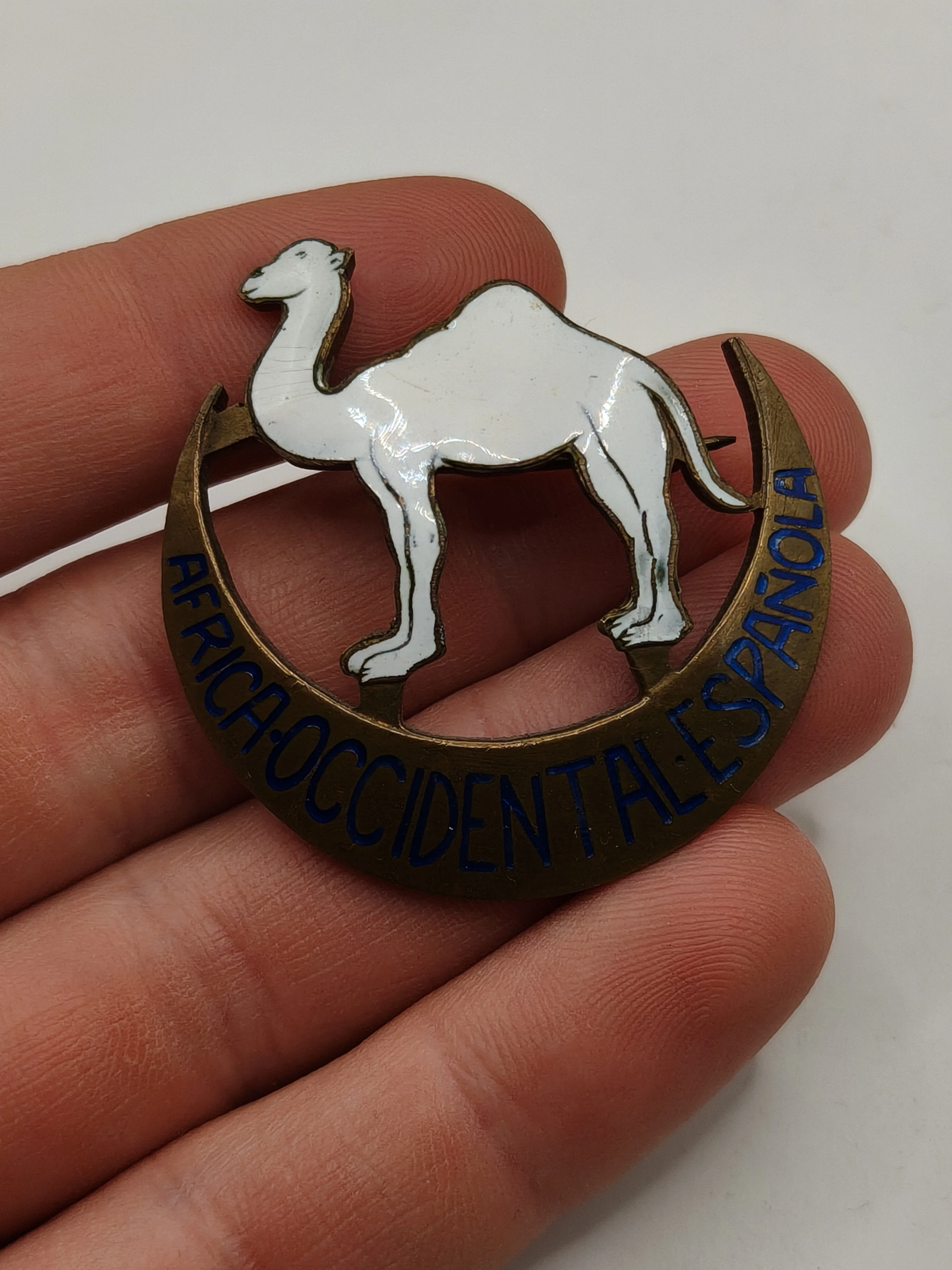 Insignia Camello ��frica Occidental. ��poca Franco.