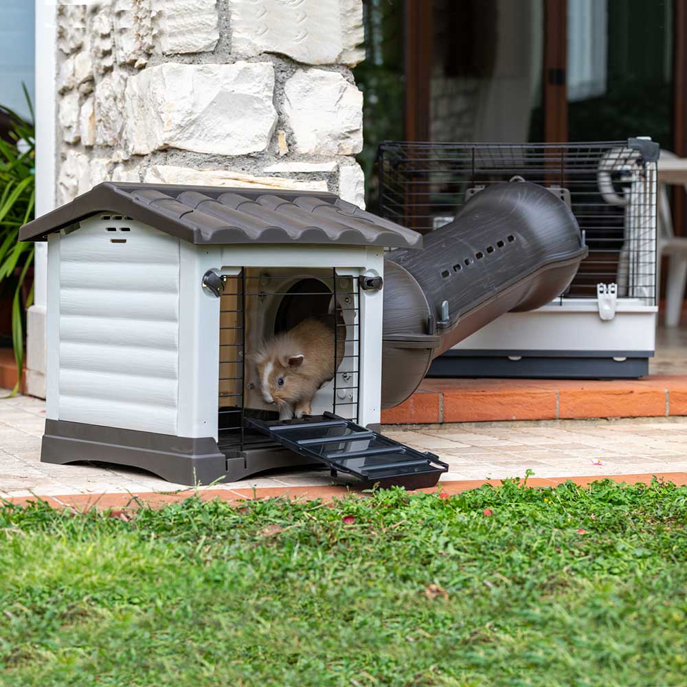 Casetta per Roditori Metrò Station – Facile da Montare, Ecosostenibile, Ideale per Percorsi Modulari