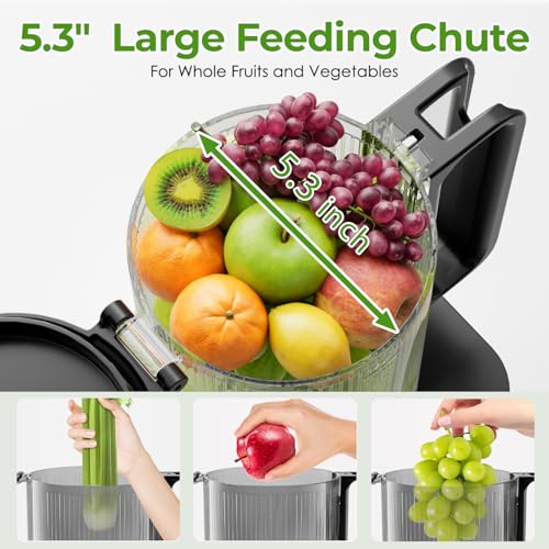 Masticating Juicer Machines, 5.3