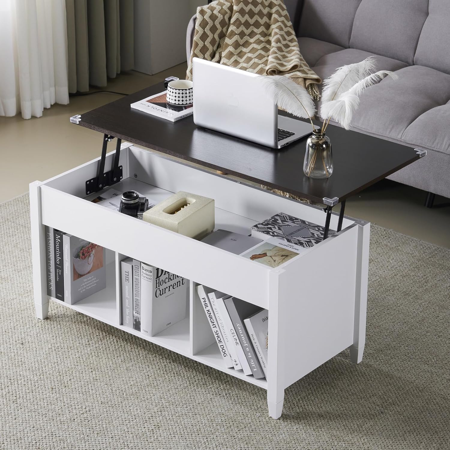 VINGLI Lift Top Coffee Table with Storage Shelf/Hidden Compartment