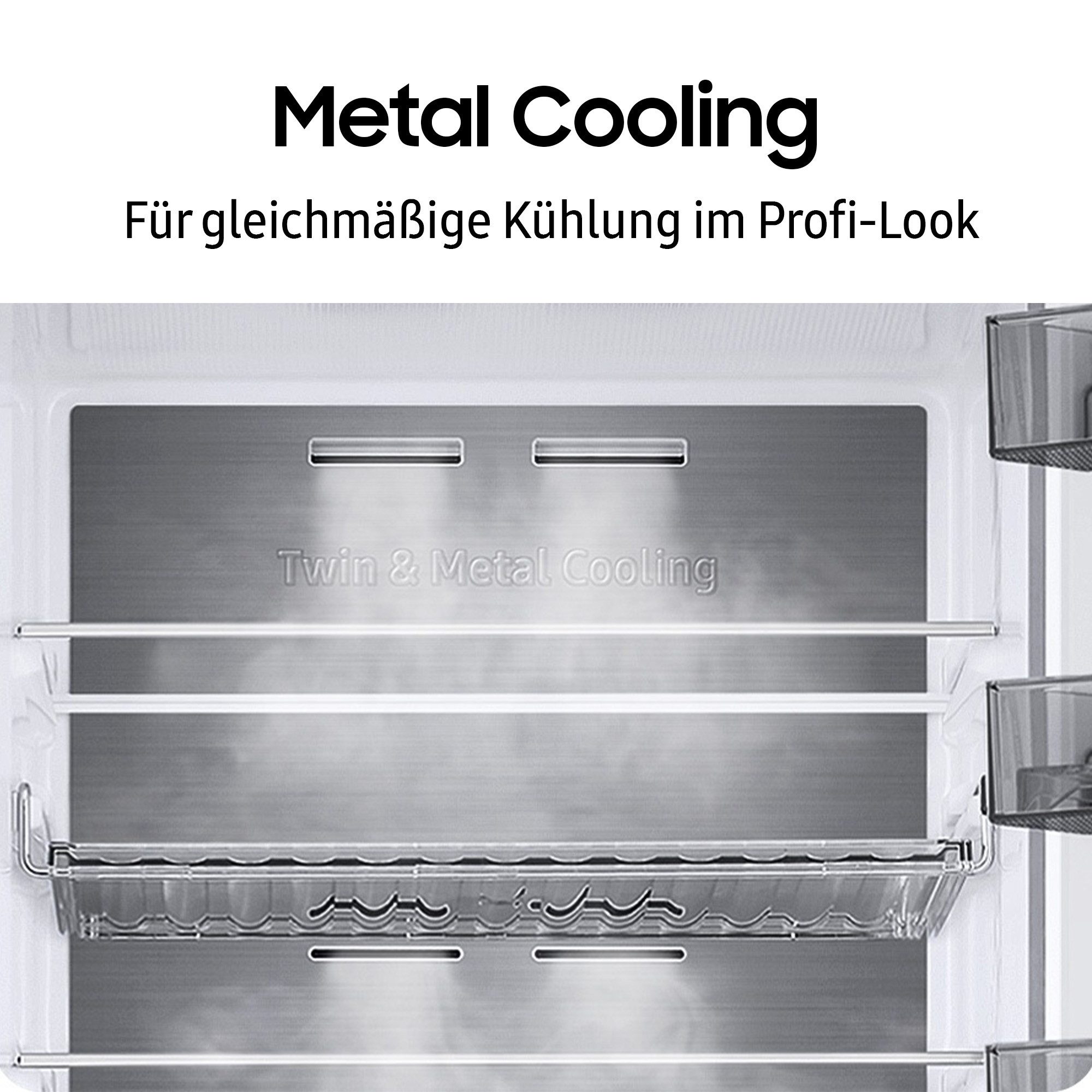 Kühl-/Gefrierkombination RB38C7AGWS9