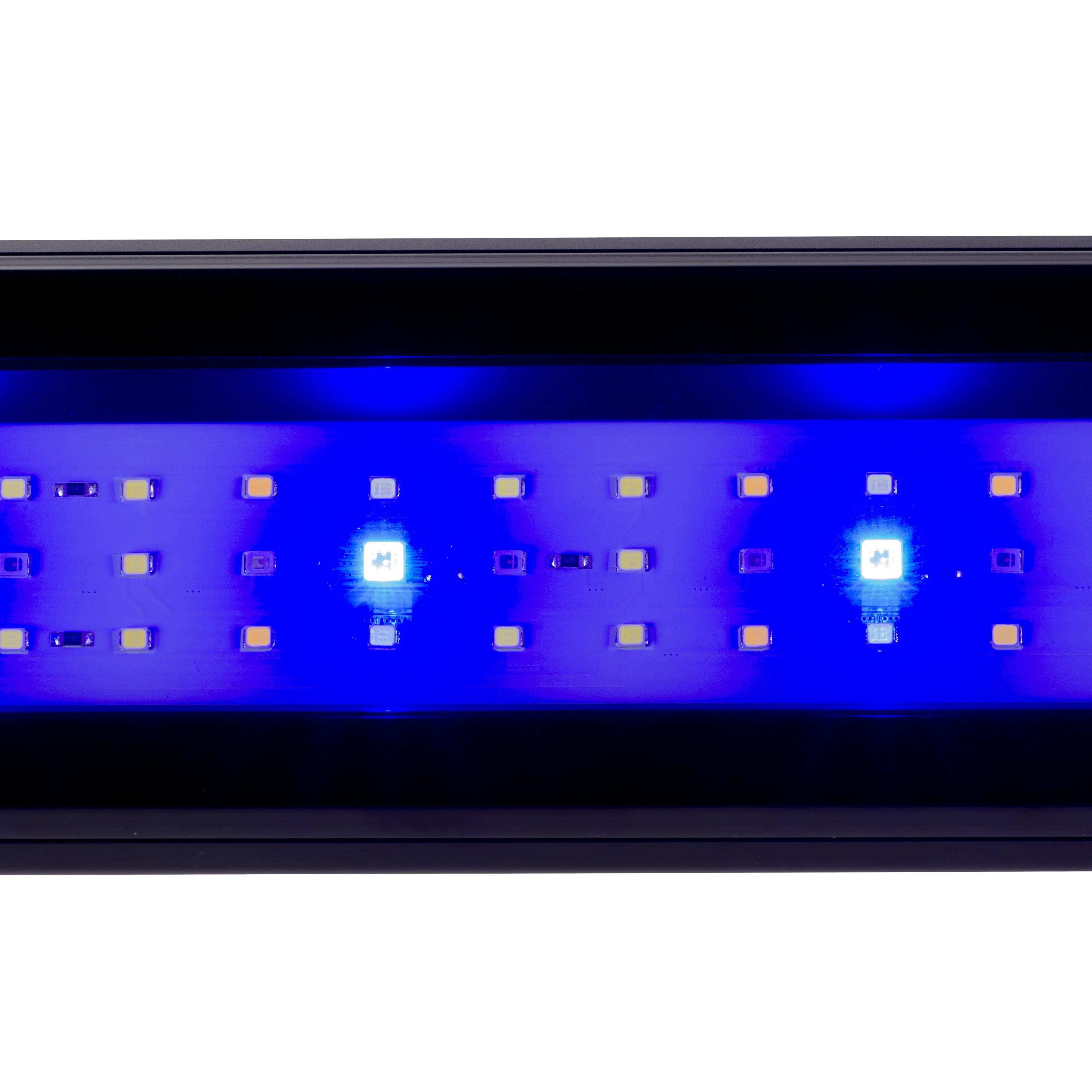 ELBA 110 Acquario da 230 Litri – Design Elegante con Illuminazione LED Integrata e Sistema di Filtrazione Avanzato