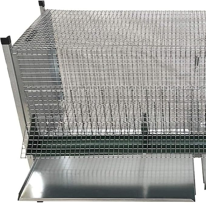 Gabbia x Pulcini in Lamiera e Rete Zincata Anti topo