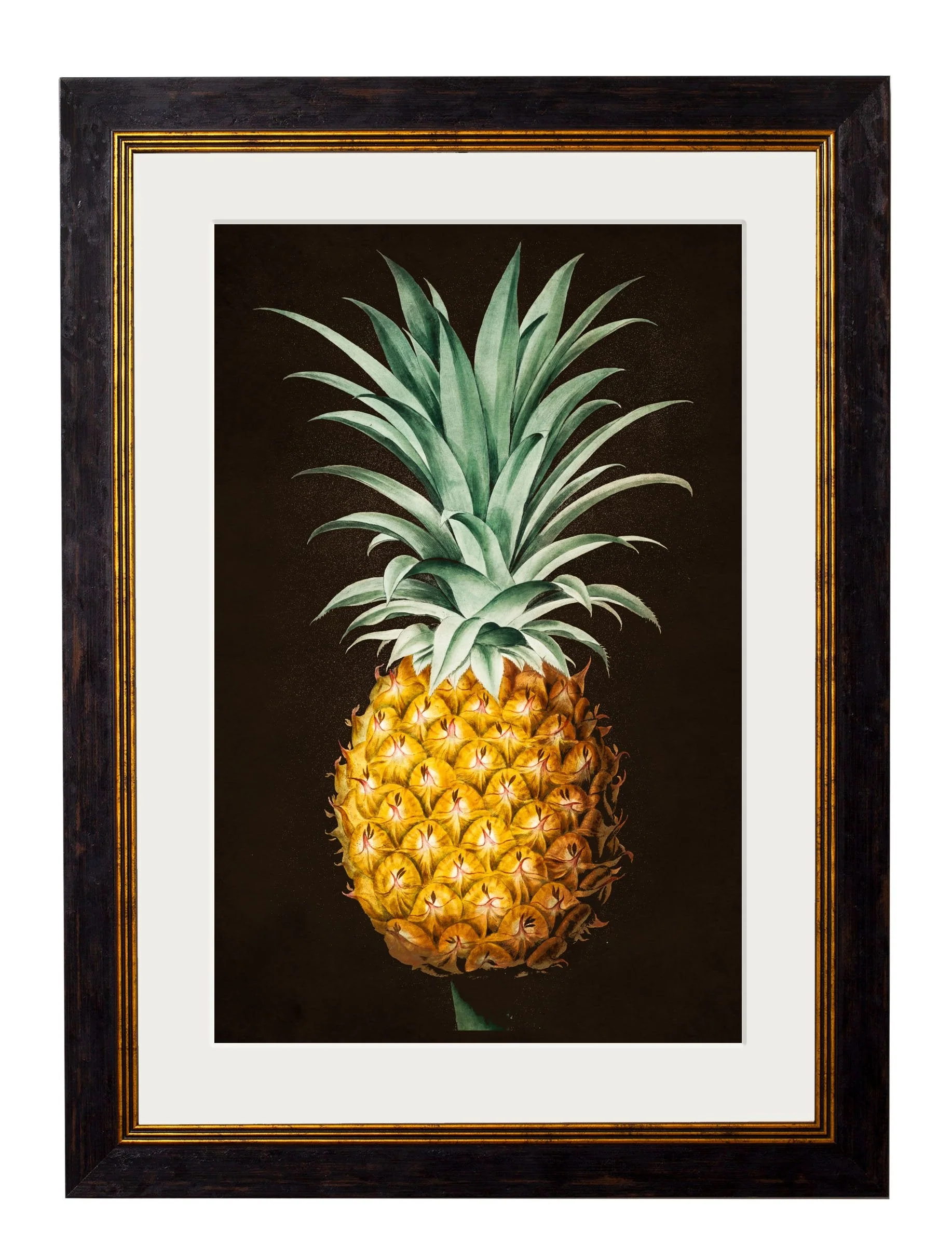 19th Century Exuberant Pineapple �C Bold Botanicals Framed Art