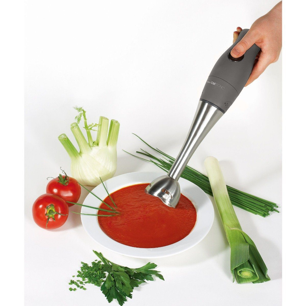 Stabmixer SMS 3777