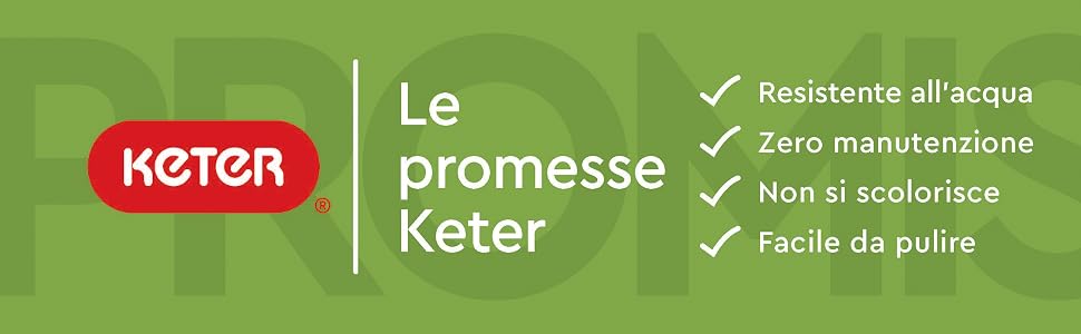 Promise