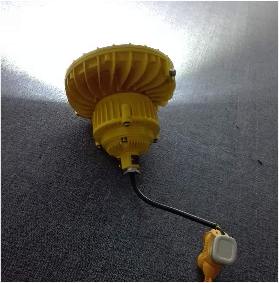 Explosionsgeschütztes LED-Licht 120 W – IP66 ATEX IIC T6 WF2 für Beleuchtung von hohen Docks für Tankstellen, Ölraffinerien, chemische Anlagen (50)