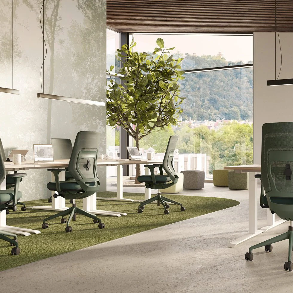 Sedia da ufficio ergonomica FM Asiento – Garanzia miglior prezzo in 28 colori