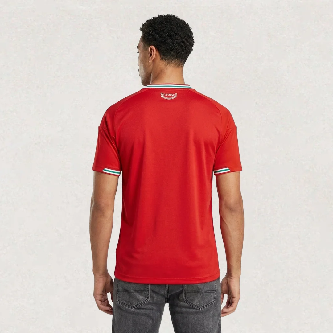 Wales 2026 Home Jersey