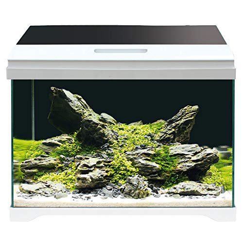 AMTRA MODERN TANK 50 LED   Acquario completo di illuminazione LED e filtro interno / cm 50,5x25,5x40 / 40 Litri : Amazon.it: Prodotti per animali domestici