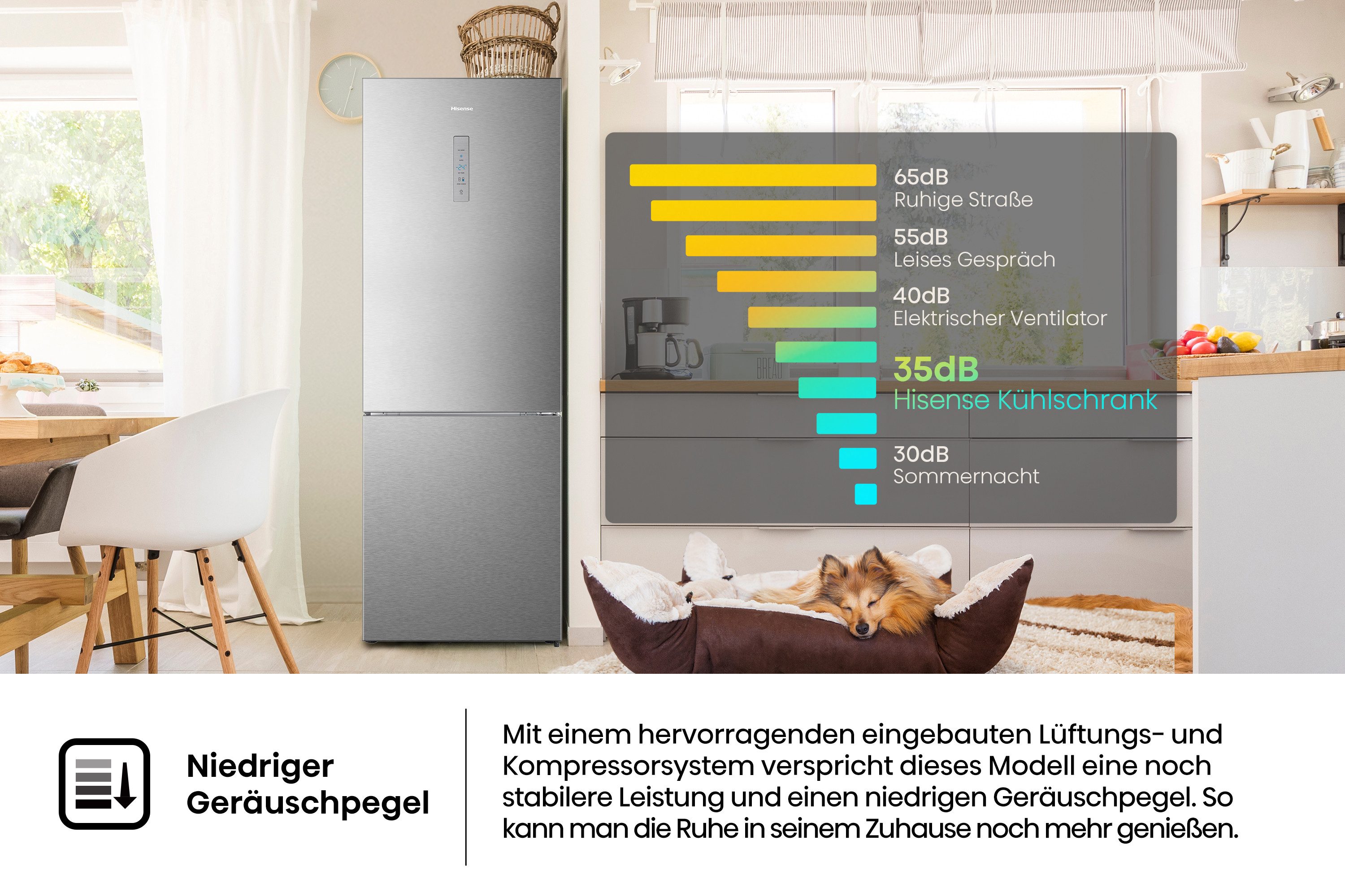 Kühl-/Gefrierkombination RB645N4BIB
