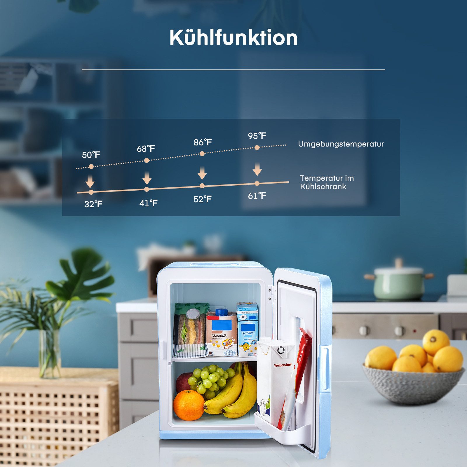 Kühlschrank YT-A-15X 2 in1 Mini Fridge 15 L, Kühlen und Heizen, Tragbar, DC/AC