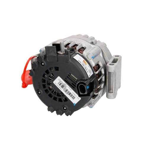 Bosch Elettricità rotanti : Amazon.it: Auto e Moto