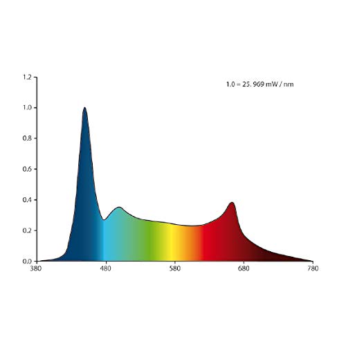 AMTRA MODERN TANK 50 LED   Acquario completo di illuminazione LED e filtro interno / cm 50,5x25,5x40 / 40 Litri : Amazon.it: Prodotti per animali domestici
