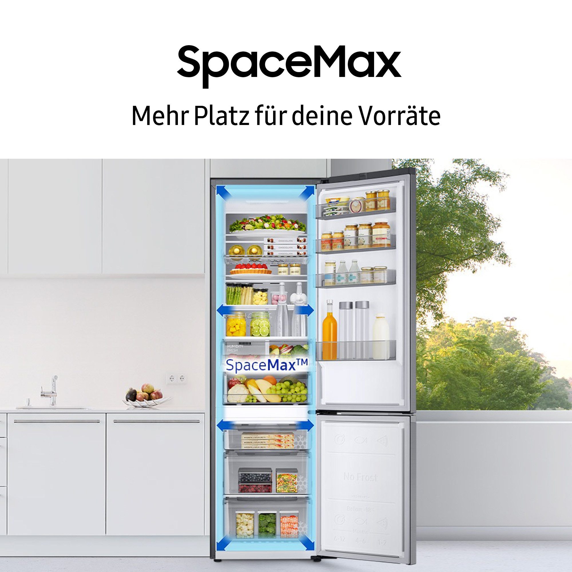 Kühl-/Gefrierkombination RB38C7AGWS9
