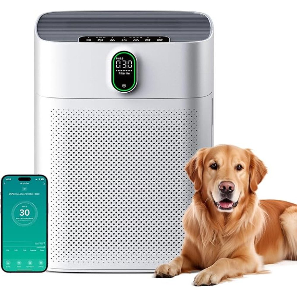 Luftreiniger für Allergiker, Raucherzimmer, HEPA Filter Gegen Staub Pollen
