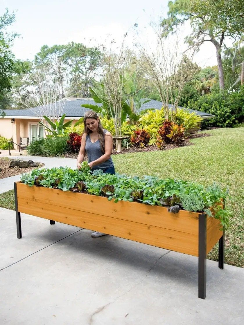 Watering Eco Stained Elevated Planter Box