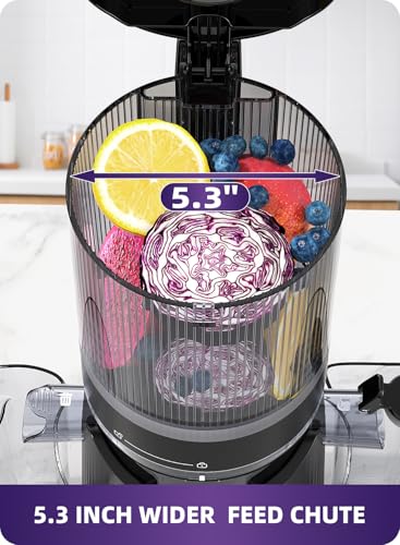 ACOQOOS Juicer Machines, Cold Press Juicer Whole Fruit and Vegetable with 5.3