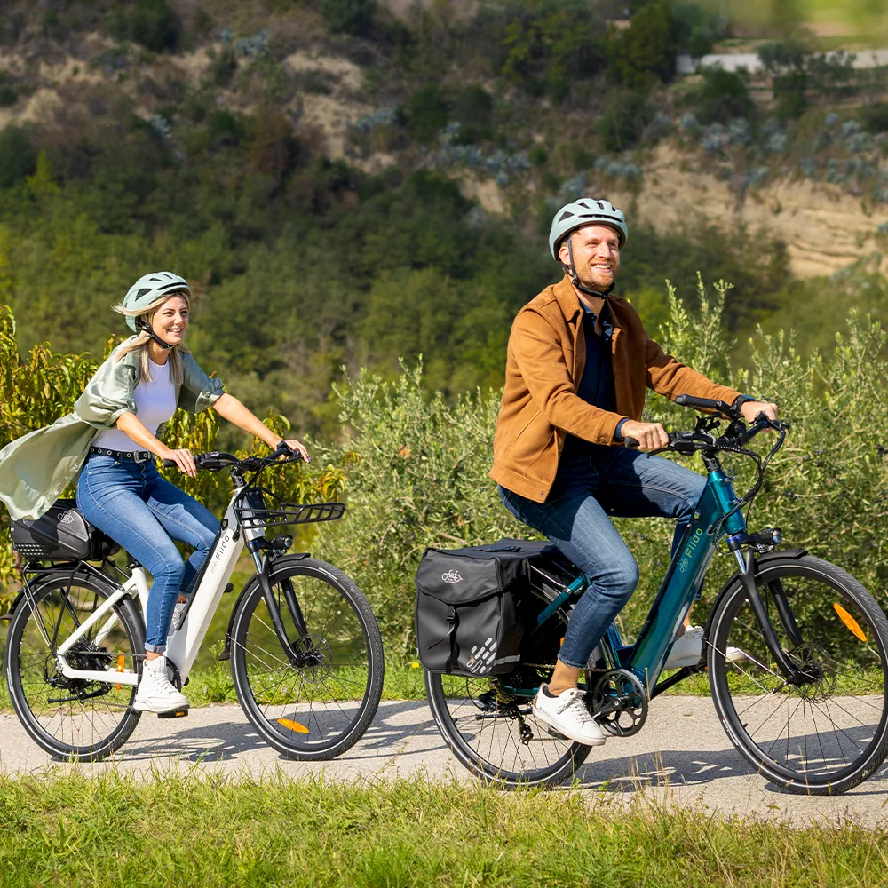 2025 Fiido C11 Lichtgewicht Urban E-Bike