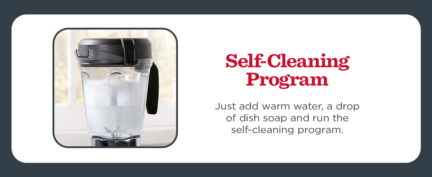 Self-Cleaning Program