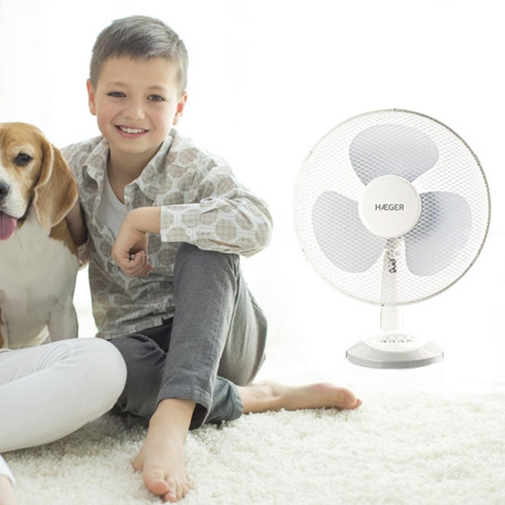 Standventilator FA-016.007A