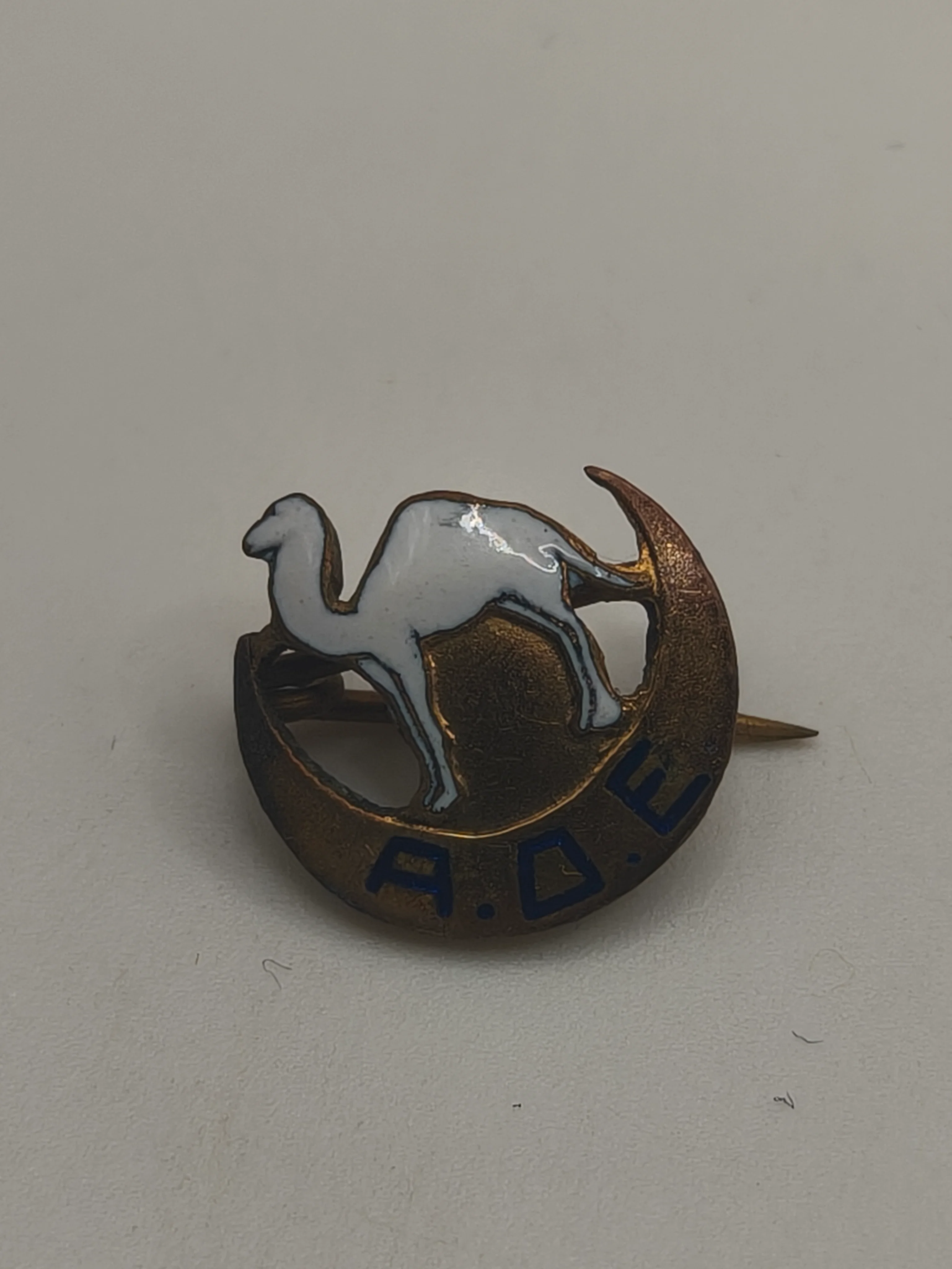 Colonial Camel Sahara Badge Mini. Spain North Africa