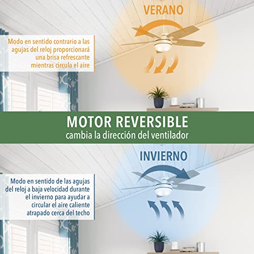 Hunter Fan Maribel, 132 cm, Ventilatore da Soffitto per Interni/Esterni con Catena a Strappo, Finitura Bronzo Nuovo, 5 Pale Reversibili in Noce, Ideale per l'Estate e l'Inverno, Modello 50555 : Amazon.it: Grandi elettrodomestici