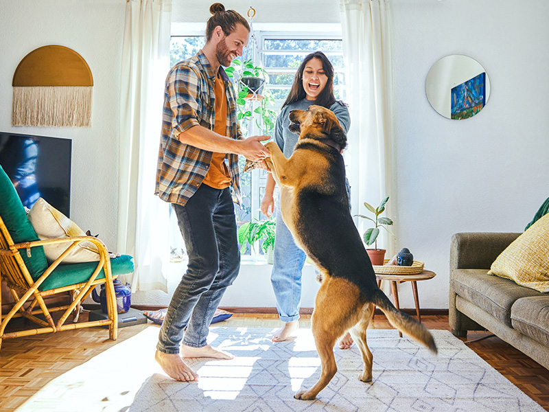famiglia con cane