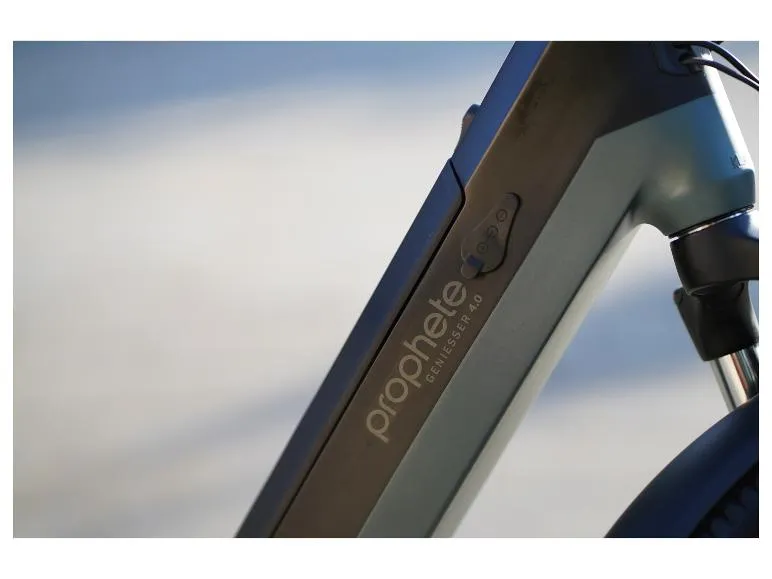 E-bike stadsfiets ?Geniesser 4.0?, 28 inch