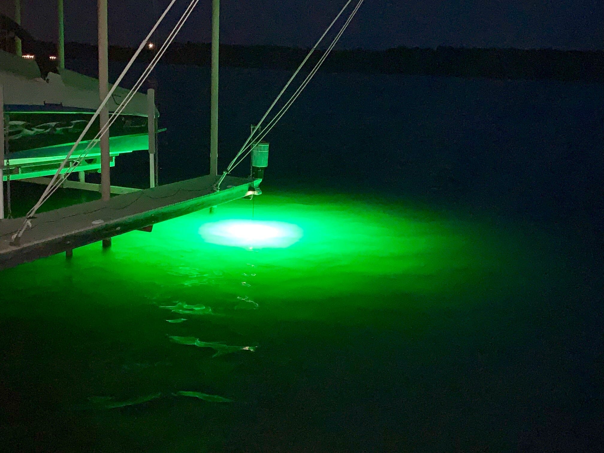 Green Blob 110V Bottom Bobber: LED Underwater Dock Fishing Light